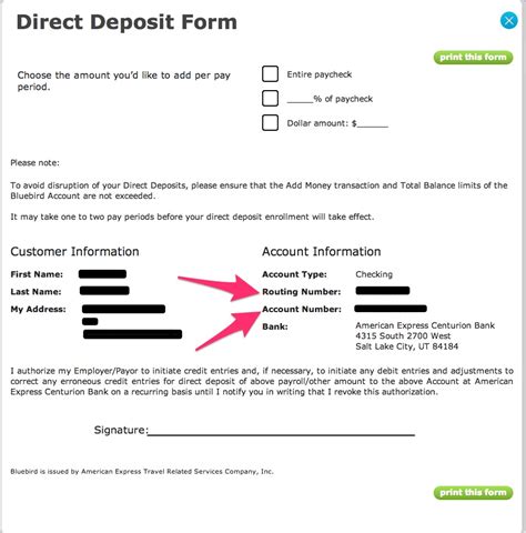 You will be asked for the following information Transfer Amount. . American express bluebird routing number